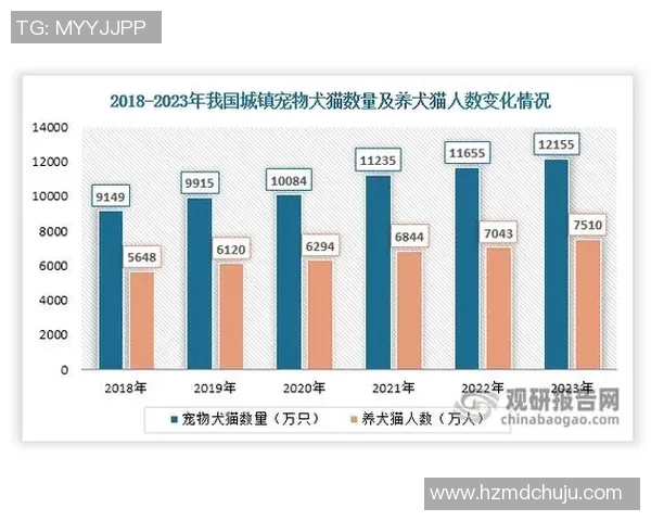 法国足球甲级联赛发展历程与未来趋势分析：从豪门球队到青年才俊的崛起